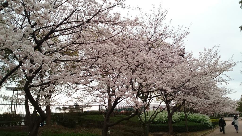 Abiko Guest House Matsubara Esterno foto